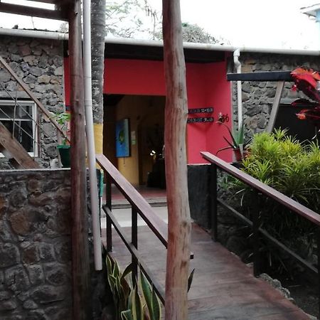 プエルトアヨラ Galapagos Morning Gloryホステル エクステリア 写真
