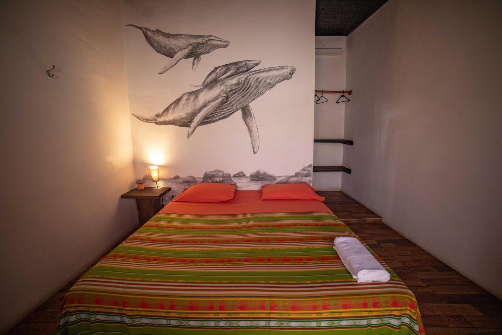 プエルトアヨラ Galapagos Morning Gloryホステル 部屋 写真
