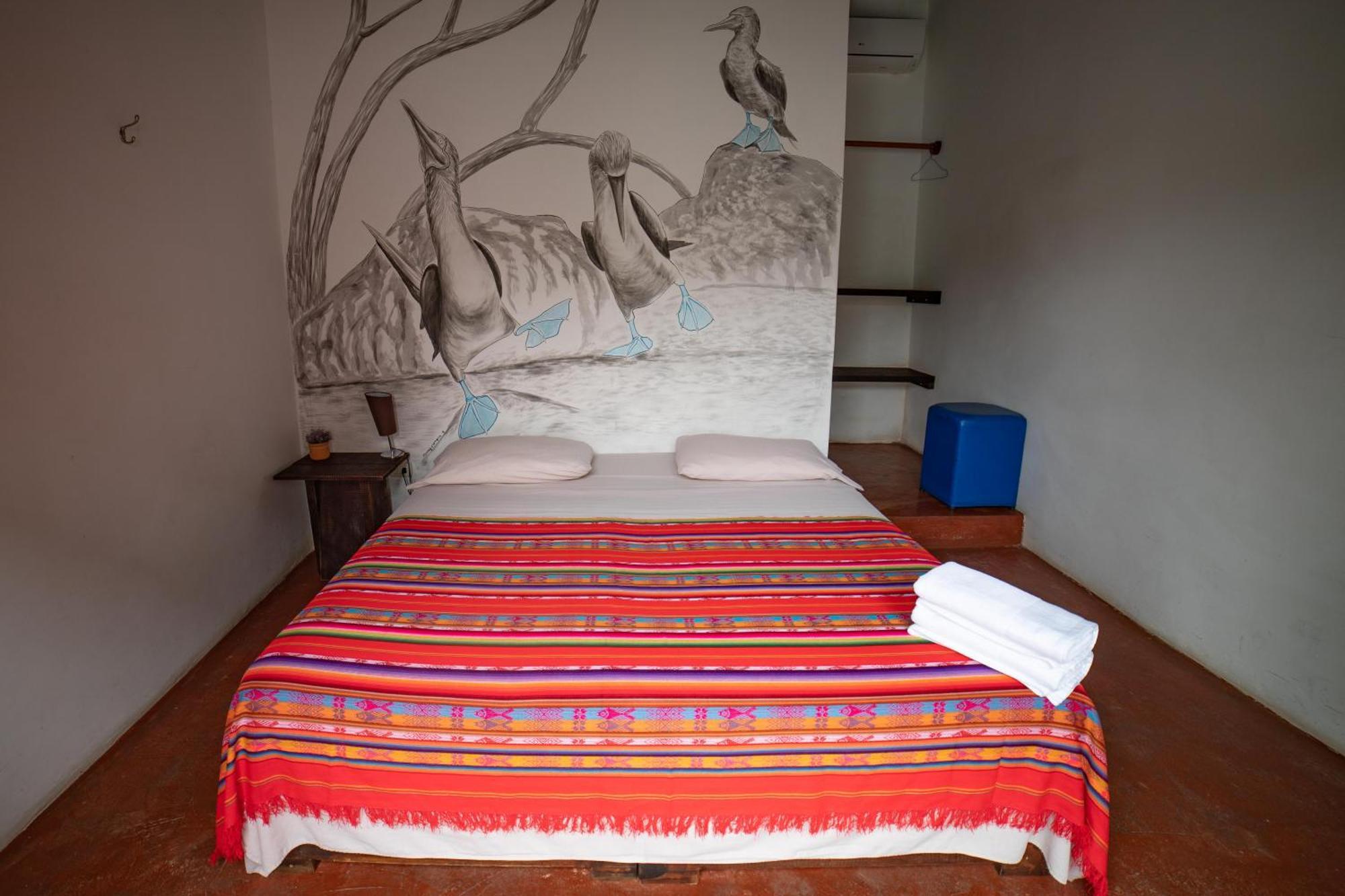 プエルトアヨラ Galapagos Morning Gloryホステル 部屋 写真